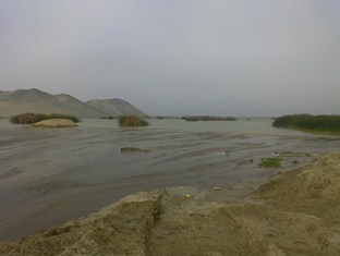 filtraciones-en-nvo-chimbote